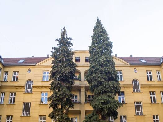 Wohnung zum Kauf 195.000 € 2 Zimmer 52,5 m² EG Heynstraße 24 Pankow Berlin 13187