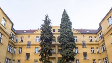 Wohnung zum Kauf 195.000 € 2 Zimmer 52,5 m² EG Heynstraße 24 Pankow Berlin 13187
