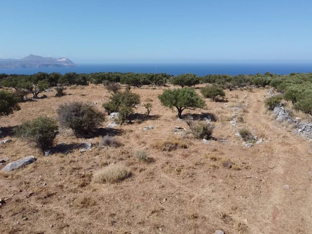 Grundstück zum Kauf 300.000 € 11.323 m²<br/>Grundstück Kreta Kokkino Chorio 730 08