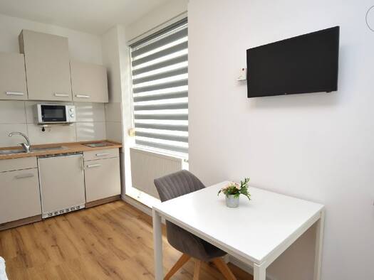 Wohnung zur Miete auf Zeit 700 € 1 Zimmer 17 m² frei ab sofort Pfersee Pfersee 86157