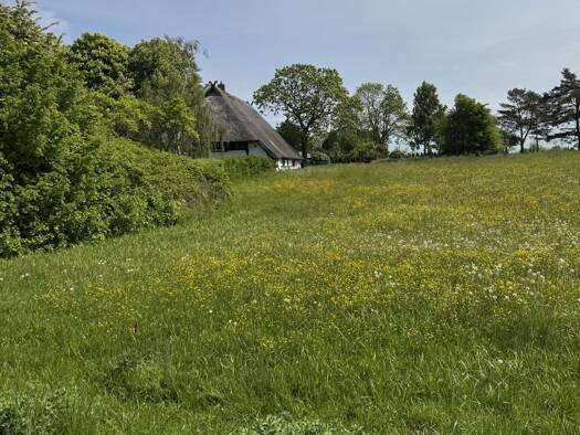Mehrfamilienhaus zum Kauf 1.200.000 € 200 m² 9.574 m² Grundstück Kühlungsborn 18225