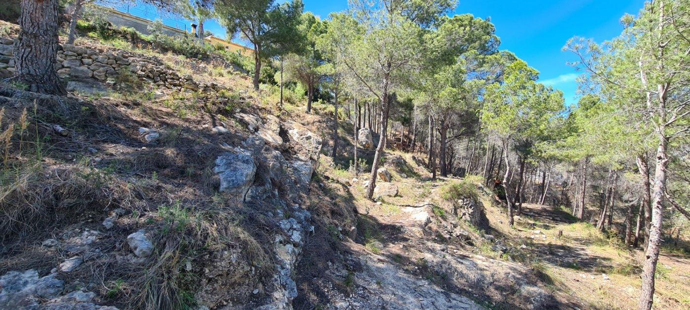 Grundstück zum Kauf 699.000 € 2.500 m²<br/>Grundstück Calpe 03710