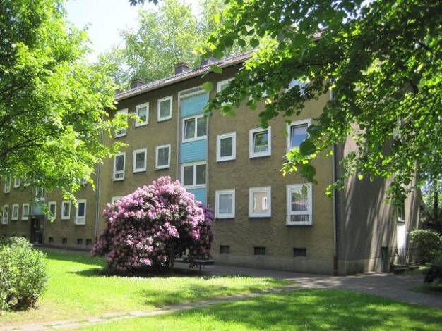 Wohnung zur Miete 407 € 4,5 Zimmer 59,9 m² 1. Geschoss frei ab 03.08.2025 Froschkönigweg 20 Stadtmitte Recklinghausen 45665