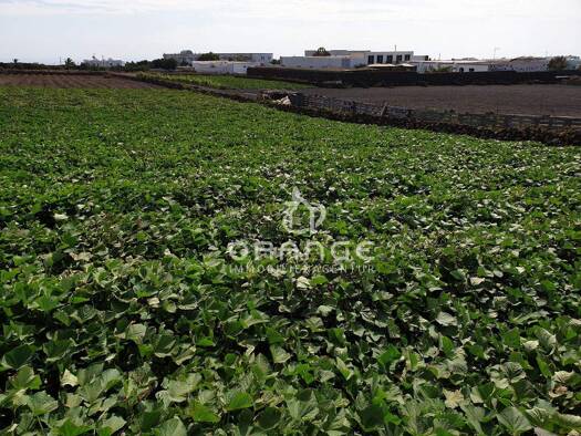 Grundstück zum Kauf 575.000 € 15.867 m² Grundstück Tias 35572