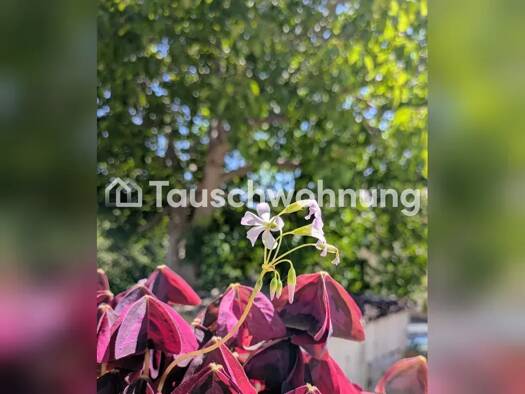 Wohnung zur Miete Tauschwohnung 795 € 4 Zimmer 95 m² 1. Geschoss Klotzsche Dresden 01109