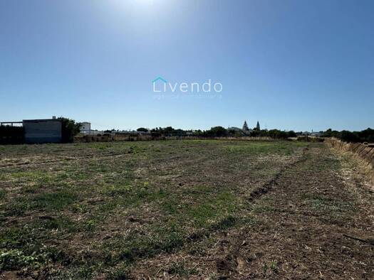 Acker-/Waldstück zum Kauf 250.000 € Vejer de la Frontera 11150