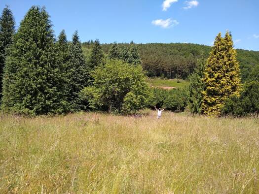 Sonstiges zum Kauf 39.500 € 1.519 m² Grundstück Est REYERSVILLER 57230