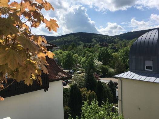 Wohnung zum Kauf 208.000 € 3 Zimmer 82 m² Geschoss 2/3 frei ab 01.01.2027 Rotahornallee 5 Bad Orb 63619