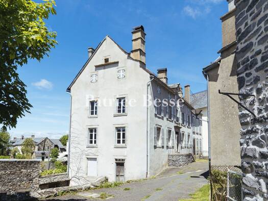 Reihenmittelhaus zum Kauf 390.000 € 8 Zimmer 350 m² 953 m² Grundstück Saint-Flour 15100