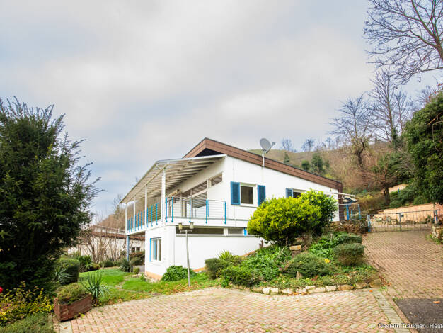 Einfamilienhaus zum Kauf 695.000 € 6 Zimmer 150 m² 2.741 m² Grundstück frei ab sofort Niederrimsingen Breisach am Rhein / Niederrimsingen 79206