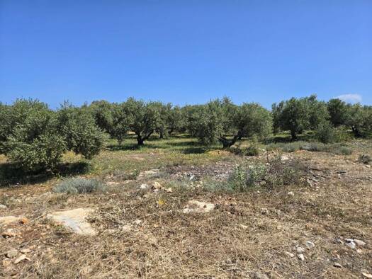 Grundstück zum Kauf 150.000 € 13.619 m² Grundstück Kreta Municipality of Rethymnon 740 52
