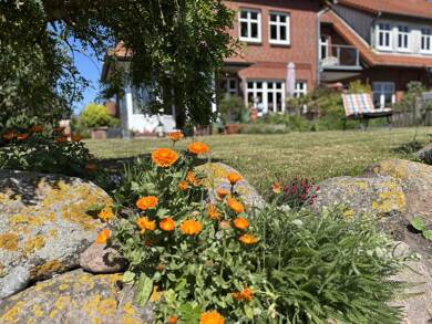 Reihenendhaus zum Kauf 569.000 € 8 Zimmer 174 m² 543 m² Grundstück frei ab 01.10.2025 Dänschendorf Fehmarn 23769