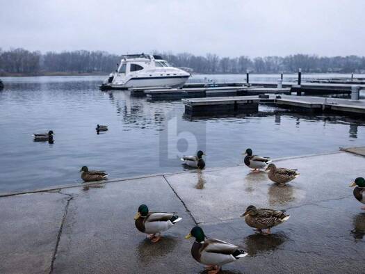 Wohnung zur Miete 1.350 € 2 Zimmer 78 m² 2. Geschoss Grünau Berlin-Grünau 12527