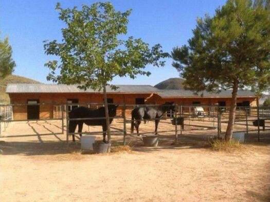 Einfamilienhaus zum Kauf 215.000 € 5 Zimmer 210 m² 140.000 m² Grundstück La Paca (Murcia) 30812