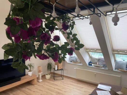 Wohnung zur Miete 360 € 2 Zimmer 44 m² frei ab 01.01.2026 Sassnitz 18546