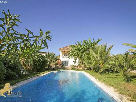 Landhaus zum Kauf provisionsfrei 299.000 € 4 Zimmer 146 m² 2.500 m² Grundstück La Puebla del Río 41130