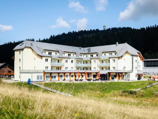 Wohnung zum Kauf 275.000 € 2 Zimmer 48 m² Feldberg 79868