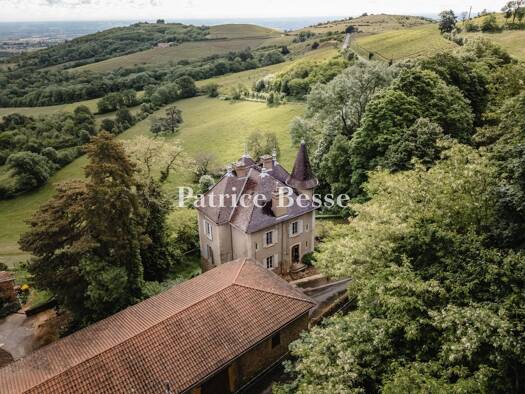 Schloss zum Kauf 585.000 € 7 Zimmer 290 m² 35.300 m² Grundstück Montmelas-Saint-Sorlin 69640