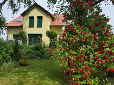 Einfamilienhaus zur Miete 2.700 € 4 Zimmer 242 m² 841 m² Grundstück frei ab 01.08.2025 Friedrich-Ebert-Straße 32 Vogelsdorf Fredersdorf-Vogelsdorf 15370