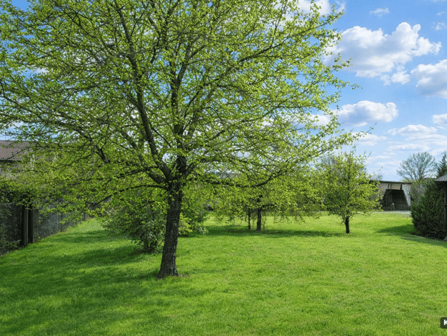 Grundstück zum Kauf 999.999 € 7.700 m² Grundstück Kissinger Straße 18 Nüdlingen Nüdlingen 97720