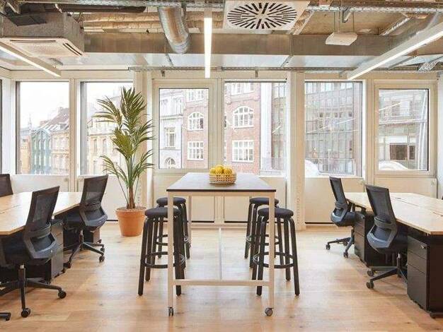 Bürofläche zur Miete provisionsfrei 264 € 4 m² Bürofläche Gerhofstraße Neustadt Hamburg 20354