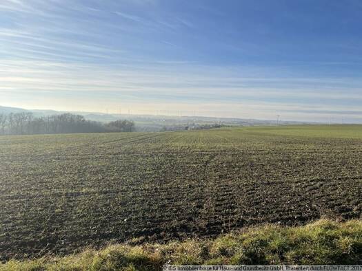 Land-/Forstwirtschaft zum Kauf 59.294 m² Grundstück Diebach Diebach 91583