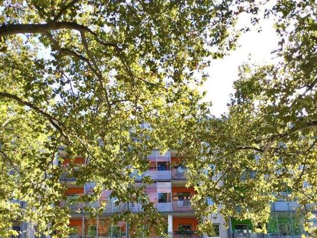 Bürofläche zur Miete provisionsfrei 200 € 1 Zimmer 30,5 m² Bürofläche Hauptstr. 14 Innere Neustadt Dresden 01097