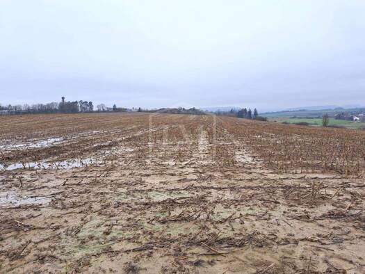 Landwirtschaftliche Fläche zum Kauf 330.000 € 112.882 m² Grundstück Bitburg 54634