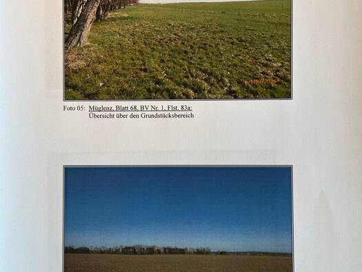 Land-/Forstwirtschaft zum Kauf 149.000 € 75.536 m² Grundstück Zschorna Lossatal 04808