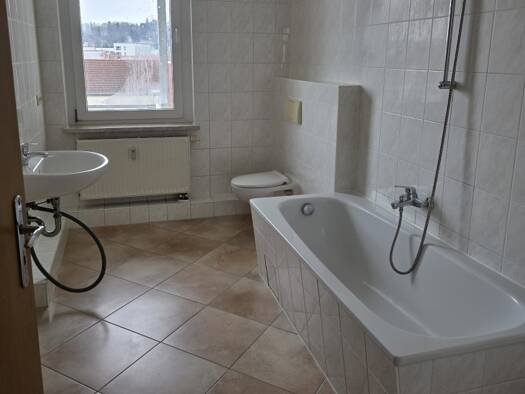 Studio zur Miete 268 € 1 Zimmer 48 m² Döbeln 04720