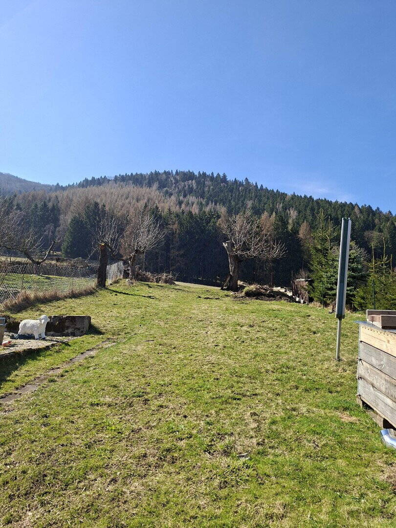 Einfamilienhaus zum Kauf - Ansicht 4