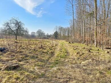 Grundstück zum Kauf 119.000 € 12.228 m² Grundstück Neuberend 24879
