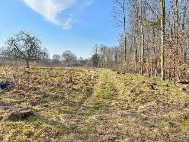 Grundstück zum Kauf 119.000 € 12.228 m² Grundstück Neuberend 24879