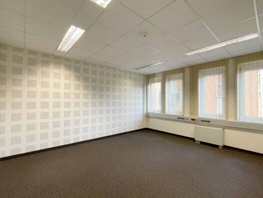 Büro zur Miete 1.034 € 3 Zimmer 103,4 m² Bürofläche Schmiedlstraße Sankt Peter Graz,08.Bez.:Sankt Peter 8042