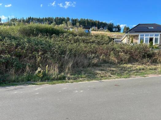 Grundstück zum Kauf 60.000 € 522 m² Grundstück Traben Traben-Trarbach 56841