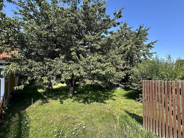 Grundstück zum Kauf provisionsfrei 170.000 € 514 m² Grundstück Am Teichdamm Brandis Brandis 04821