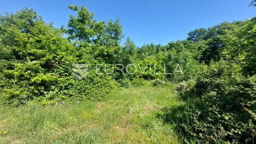 Land-/Forstwirtschaft zum Kauf 20.000 € Loborika Centar, Loborika 52206