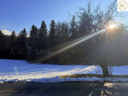 Land-/Forstwirtschaft zum Kauf 280.000 € 800 m² Grundstück Andritz Graz,12.Bez.:Andritz 8045