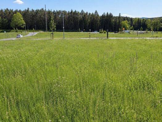 Grundstück zum Kauf 83.678 € 602 m² Grundstück Baugenehmigung vorhanden Creußen 95473