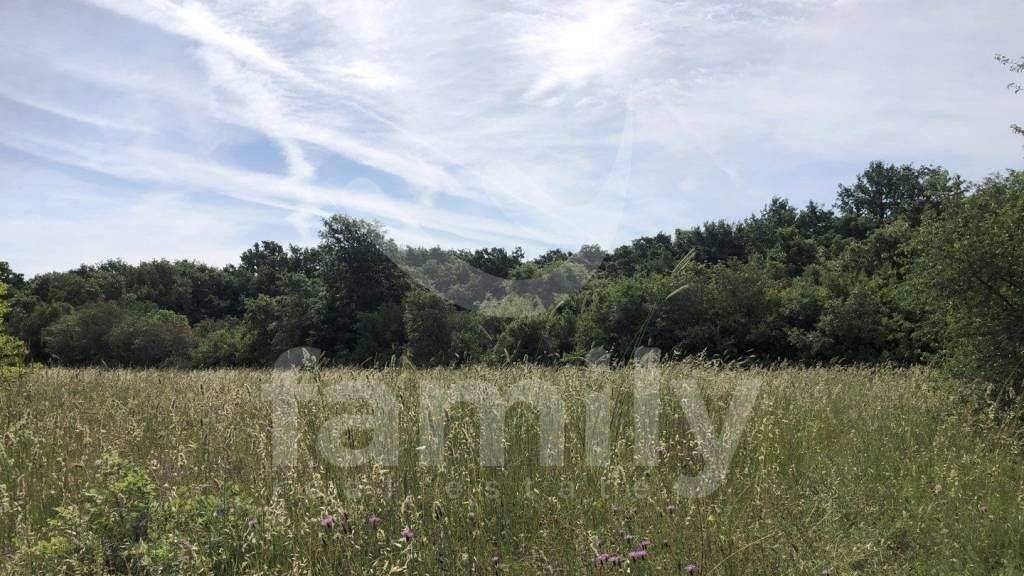 Land-/Forstwirtschaft zum Kauf 74.000 € Vodnjan