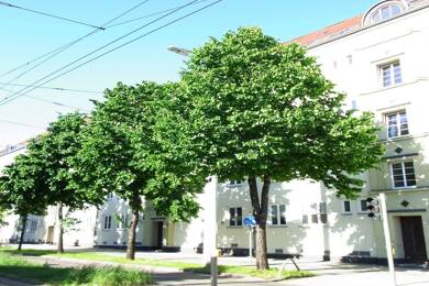 Wohnung zur Miete 524 € 2 Zimmer 37,7 m² Dachgeschoss, 4. Geschoss Delitzscher Straße 144 Eutritzsch Leipzig 04129
