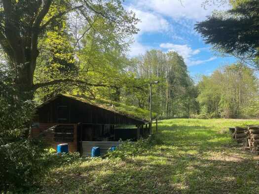 Freizeitgrundstück zum Kauf 59.000 € 7.500 m² Grundstück Kuppenheim Kuppenheim 76456