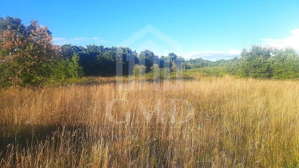 Land-/Forstwirtschaft zum Kauf 99.000 € Jursici