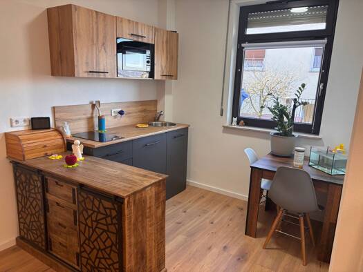 Wohnung zur Miete 500 € 1 Zimmer 38 m² Geschoss EG/1 frei ab sofort Homburg Triefenstein 97855