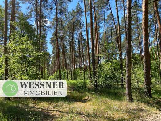 Land-/Forstwirtschaft zum Kauf 196.000 € 145.317 m² Grundstück Dallgow Dallgow-Döberitz 14624