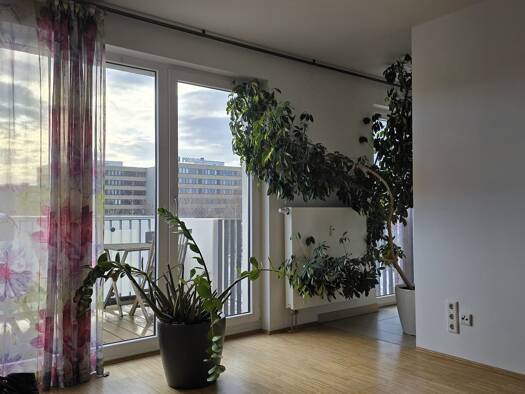 Wohnung zur Miete 695 € 2 Zimmer 54 m² Geschoss 3/3 frei ab sofort Südvorstadt-Ost Dresden 01069