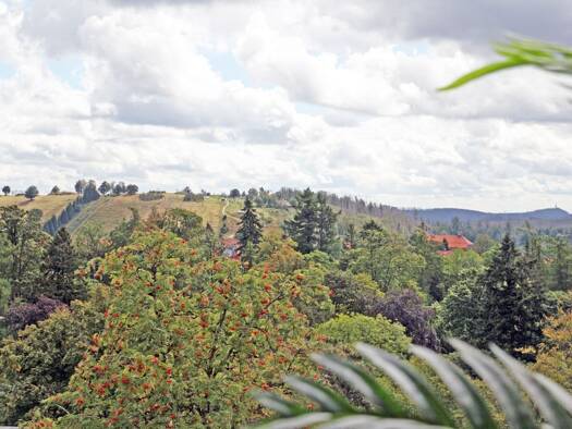 Wohnung zum Kauf 38.000 € 1 Zimmer 38 m² St. Andreasberg Braunlage 37444
