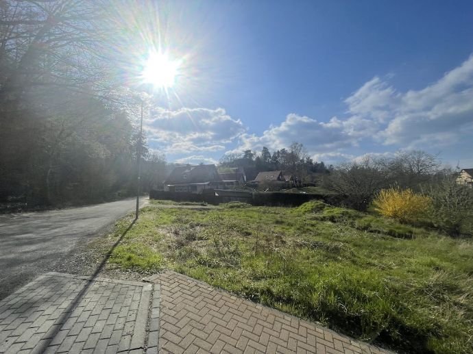 Grundstück zum Kauf 99.000 € 750 m²<br/>Grundstück Bärenstein 26B Heimburg Blankenburg 38889