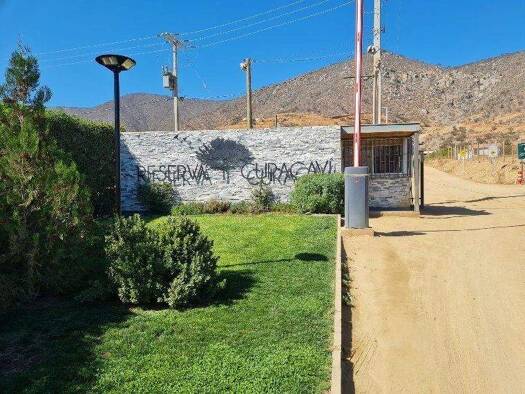 Büro zum Kauf 55.000.000 € Curacavi