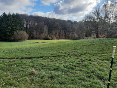 Grundstück zum Kauf 383.000 € 2.127 m² Grundstück Waldmohr 66914